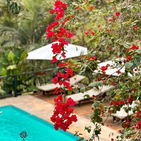 פוארטו איגואסו Mediterraneo Suites מראה חיצוני תמונה