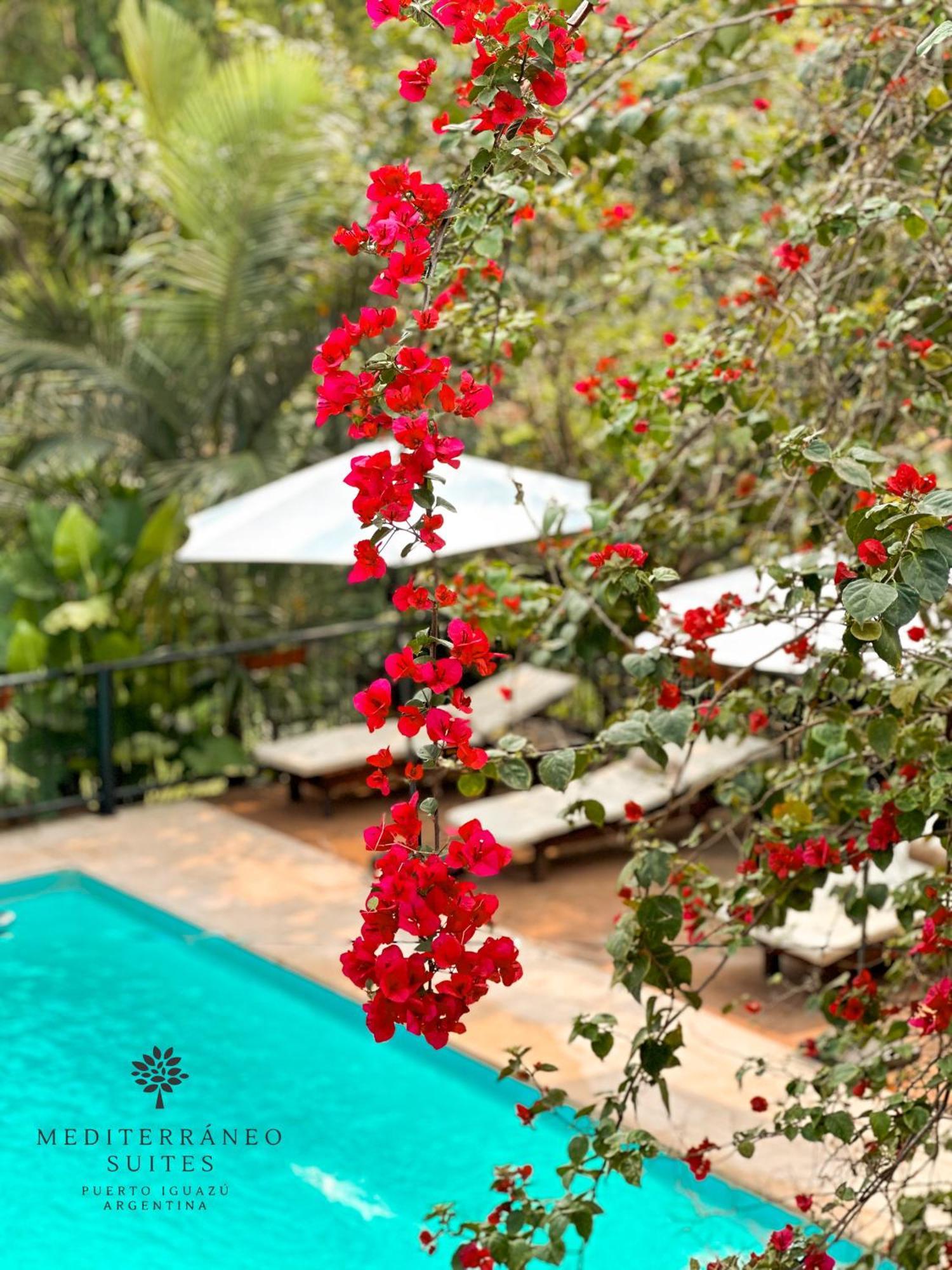 פוארטו איגואסו Mediterraneo Suites מראה חיצוני תמונה
