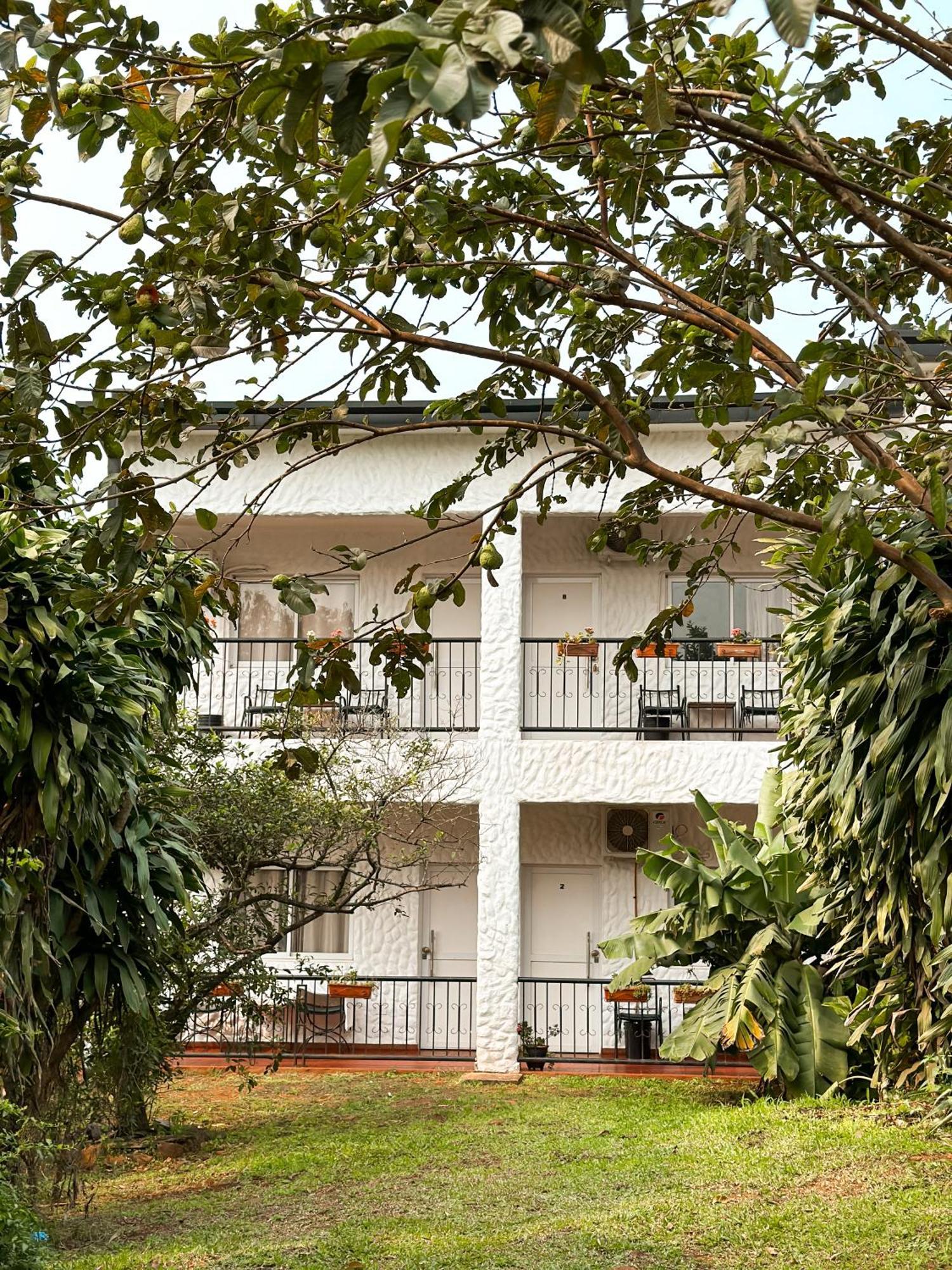 פוארטו איגואסו Mediterraneo Suites מראה חיצוני תמונה