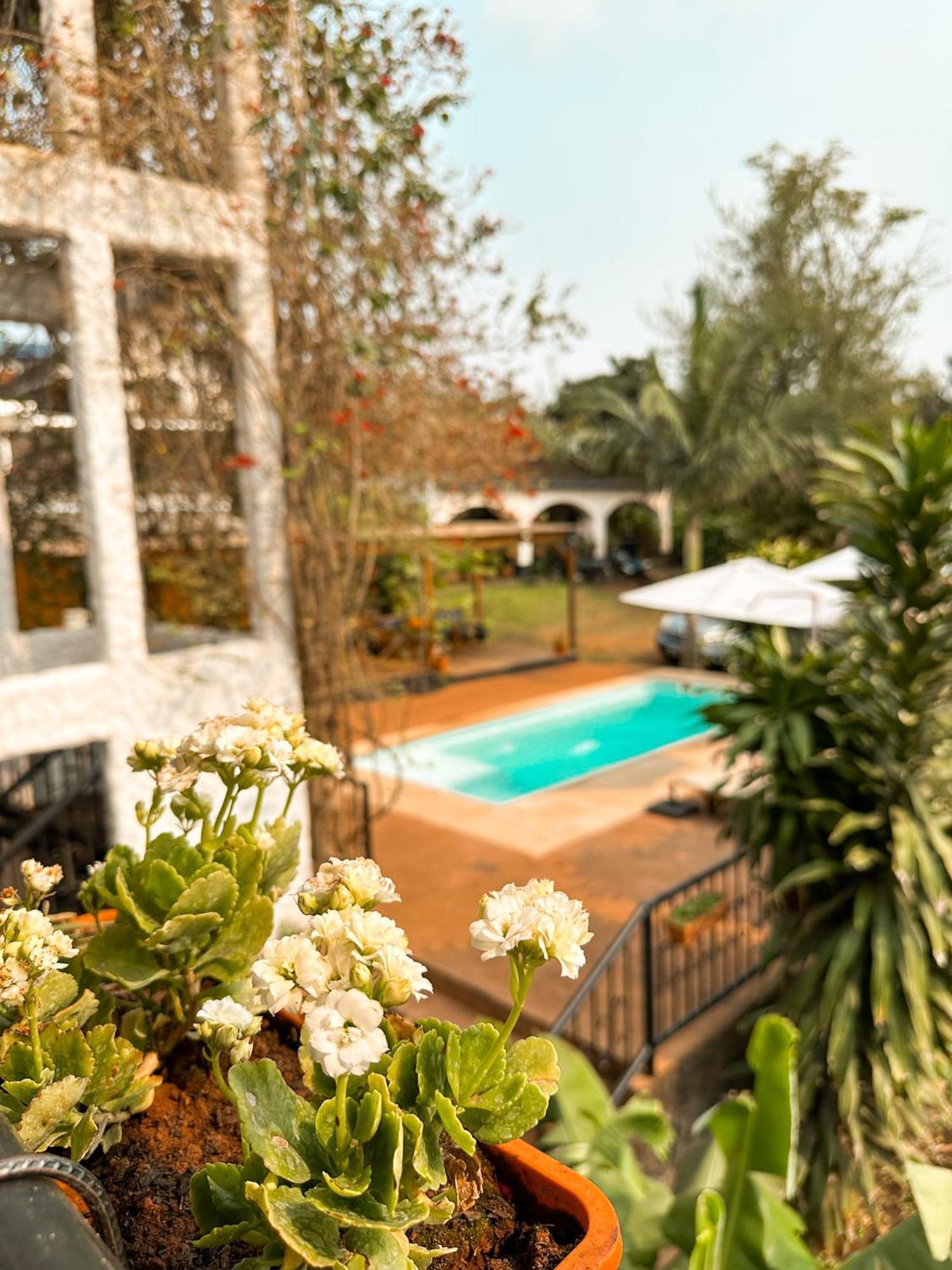 פוארטו איגואסו Mediterraneo Suites מראה חיצוני תמונה